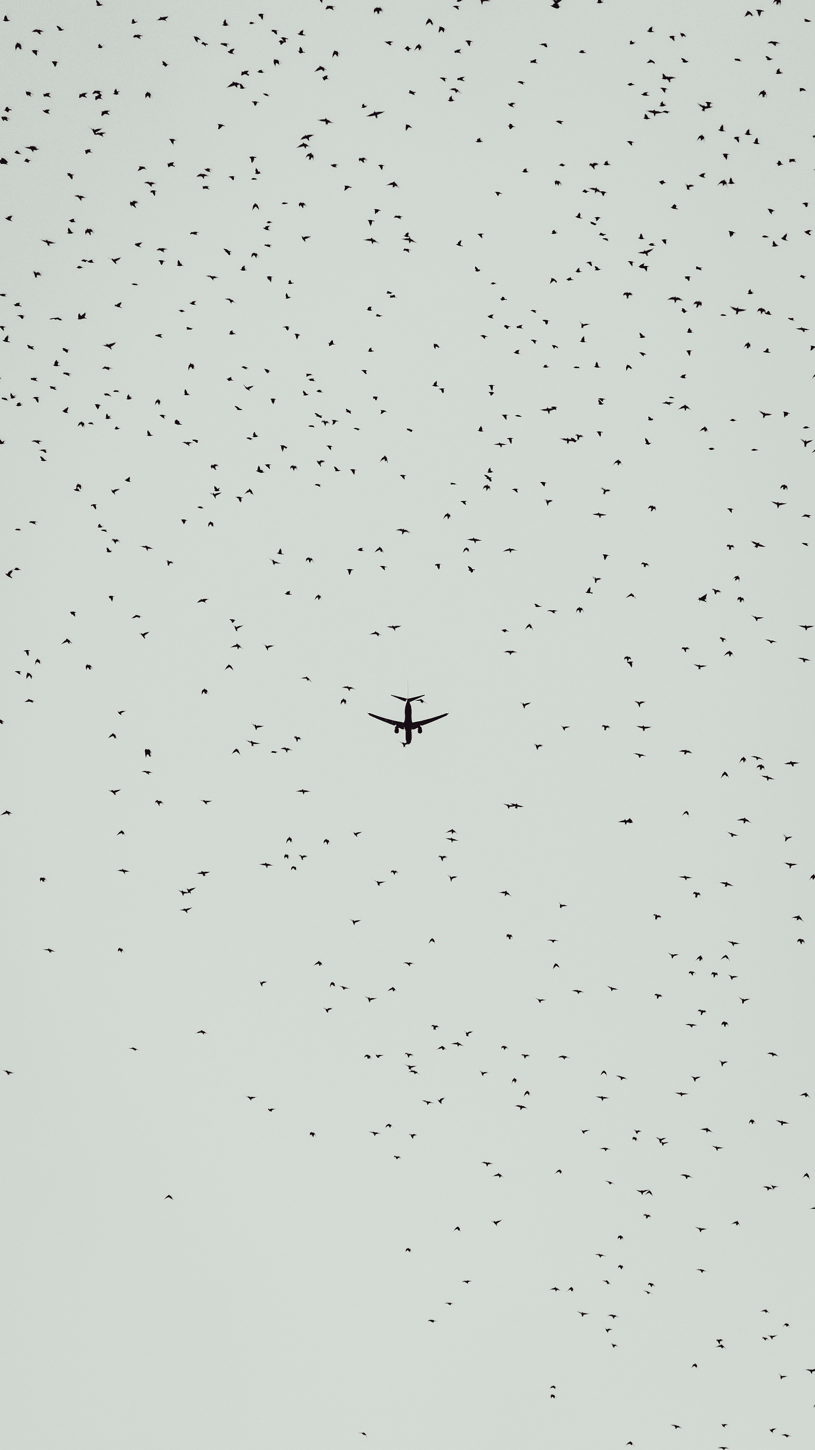 flying airliner in sky